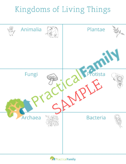 Kingdoms of Living Things - handwriting practice