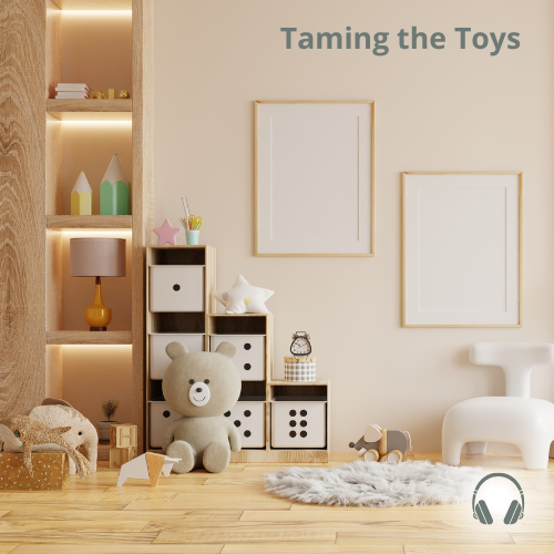 *GUIDE TO TAMING THE TOYS - AUDIOBOOK* - from Home On Purpose