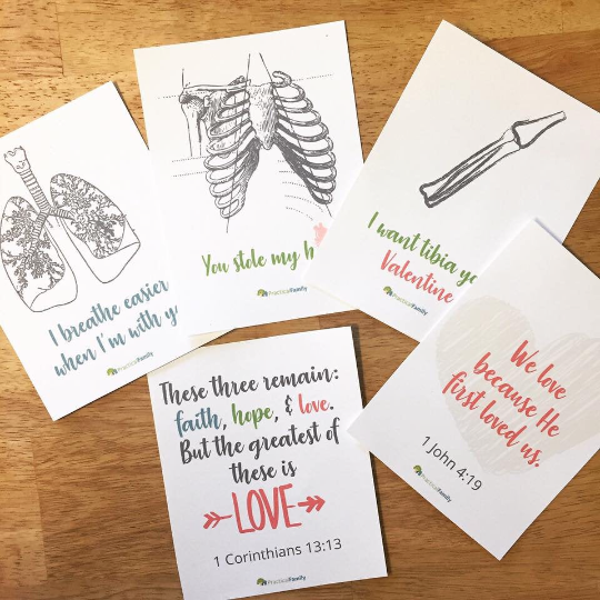 Valentine Cards - Anatomy
